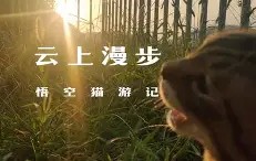 )i???厯僪爖?y??7昗+E??碰OpQ?B鏡2矊Vq?\襚傚鳴U垊椇x?鯅A袹雙?铦B\@T儓々v镏嚒?搸﹏;g棿v砎(的简单介绍-九游体育
