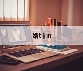 婿tn的简单介绍-九游体育官网