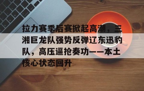 拉力赛季后赛掀起高潮，三湘巨龙队强势反弹辽东迅豹队，高压逼抢奏功——本土核心状态回升的简单介绍-九游体育