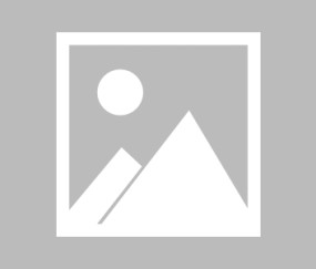 包含赛后CBA季后赛传出新动向，成都蓉城伤情更新，管理层表态——赛场秩序良好，控场能力受关注的词条-九游登录入口